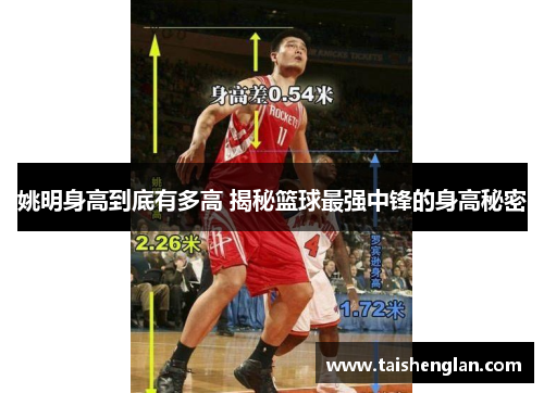 姚明身高到底有多高 揭秘篮球最强中锋的身高秘密
