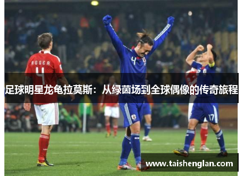 足球明星龙龟拉莫斯：从绿茵场到全球偶像的传奇旅程