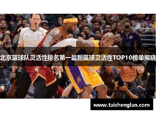 北京篮球队灵活性排名第一最新篮球灵活性TOP10榜单揭晓