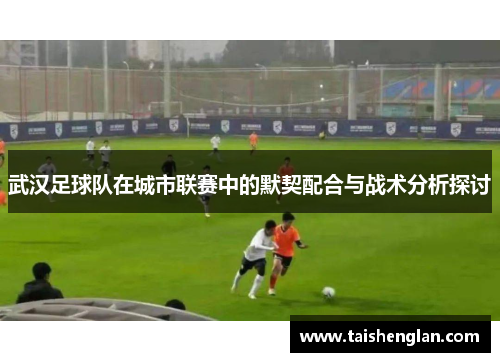 武汉足球队在城市联赛中的默契配合与战术分析探讨